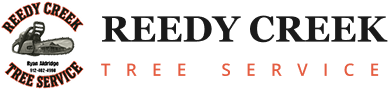 Reedy Creek Tree Service