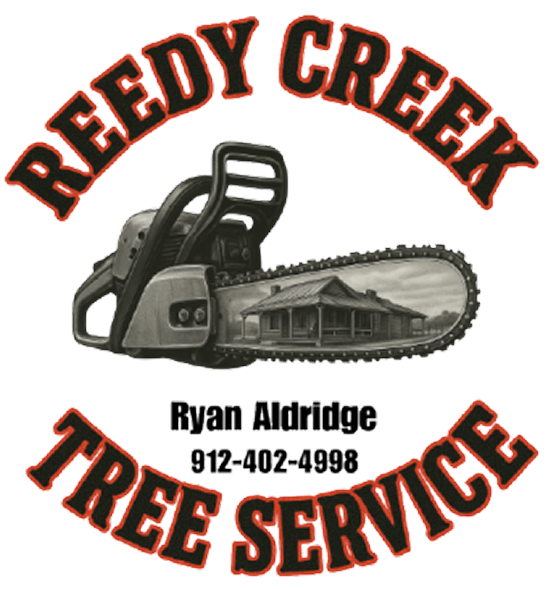Reedy Creek Tree Service