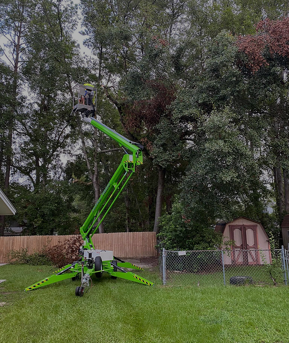 Tree Pruning Tree Pruning