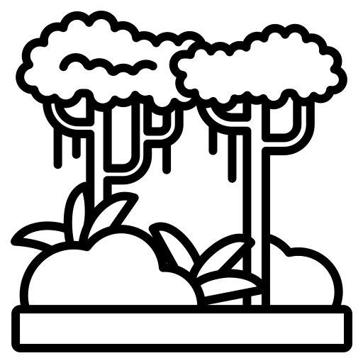 Canopy Shaping
